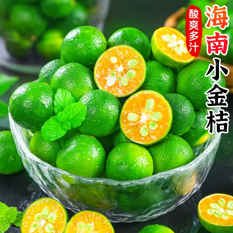 【酸爽多汁】海南小金桔0.5-5斤新鲜榨汁小青桔小青柠小金桔水果