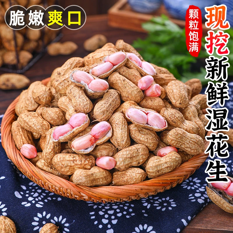 【香脆甜嫩】新鲜现挖花生1-5斤鲜花生蔬菜湿花生生花生营养清香