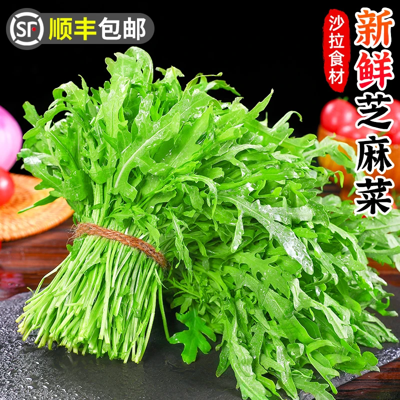 【顺丰包邮】新鲜芝麻菜0.5-5斤芝麻叶西餐食材生菜火箭菜沙拉蔬菜