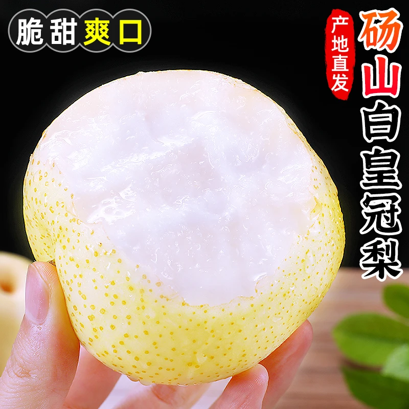 【脆甜爽口】圆黄秋月砀山白皇冠梨2-9斤水晶梨子雪梨酥梨新鲜水果