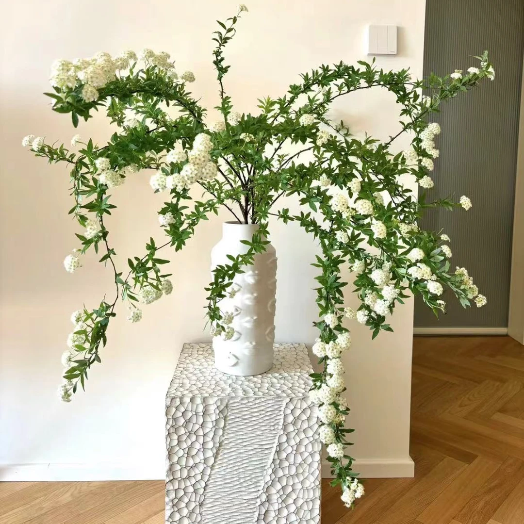 【小手球】清新阳光花期长春季家庭插花鲜花云南A级品顺丰冷链直发