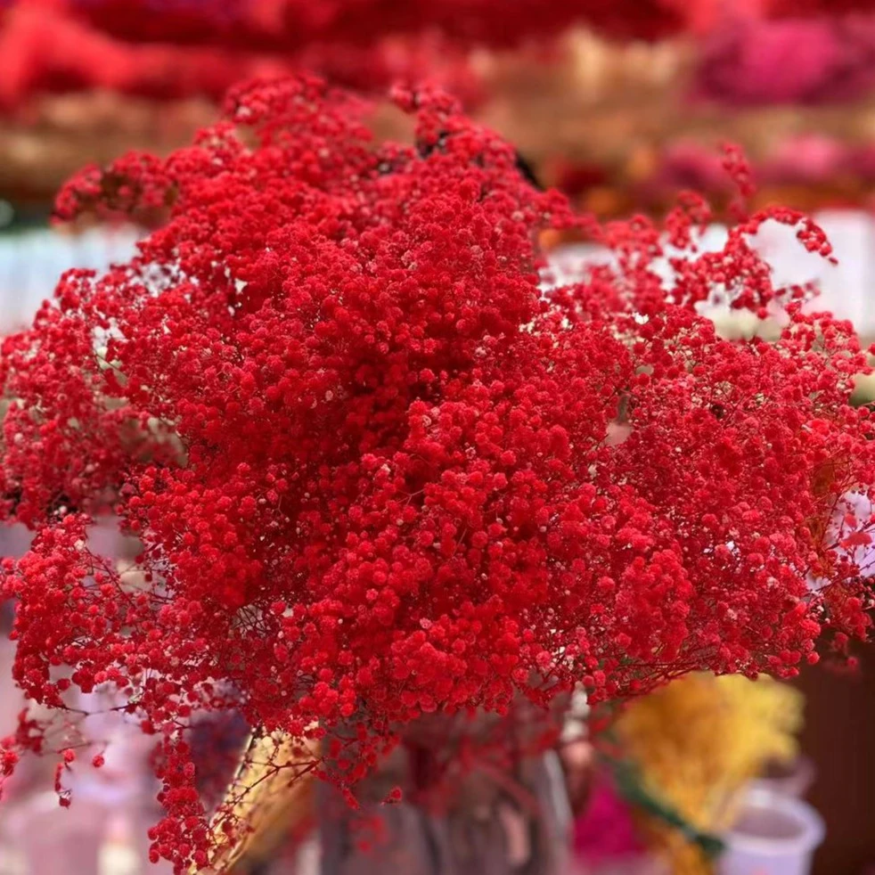 永生花大红色满天星干花束手工diy批发超大真花 云南工厂直销