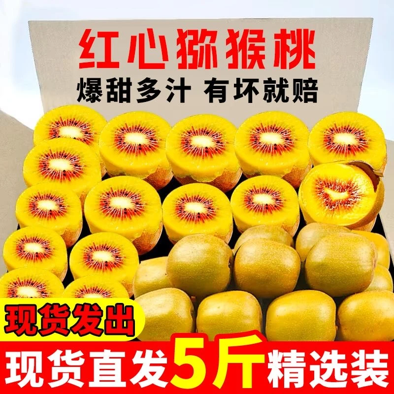 湘西高山红心猕猴桃爆甜礼盒彩箱5斤装