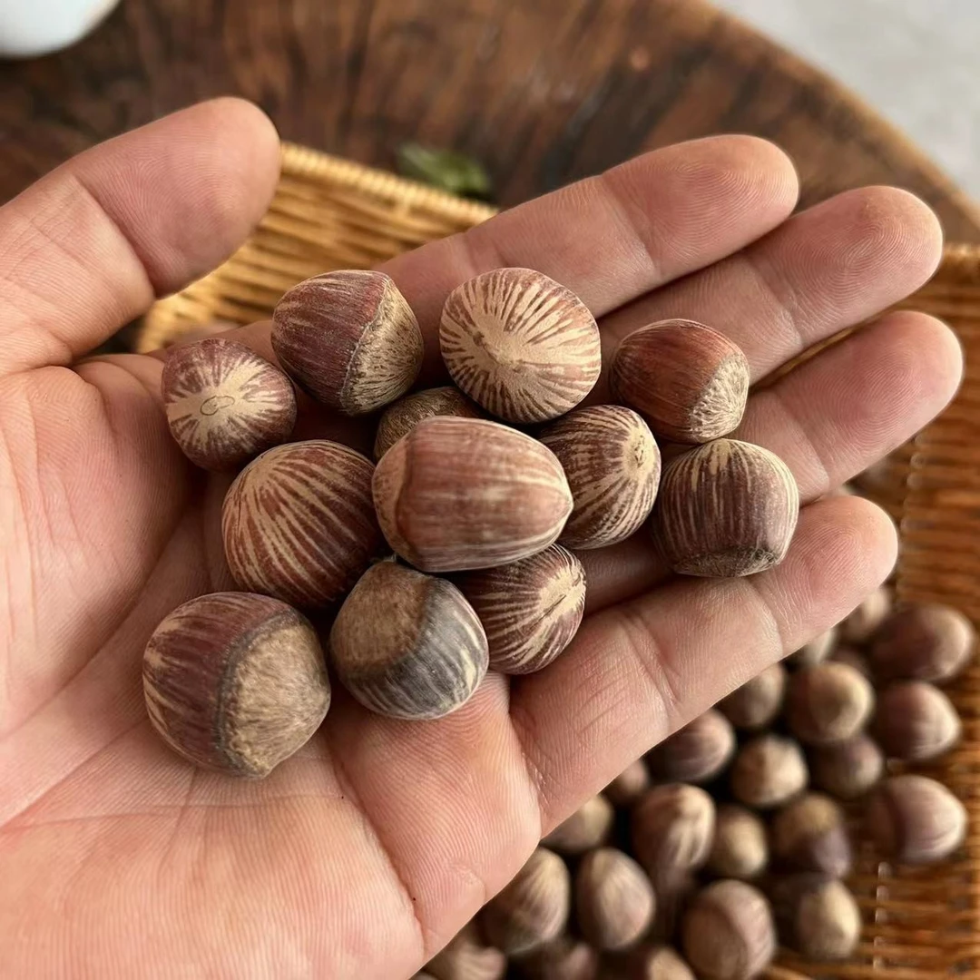 玉坠榛子 黑龙江山地虎皮榛子 铁锅笨炒虎皮大榛子