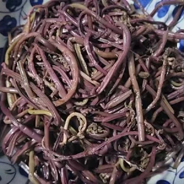 东北纯野生山野菜猴腿儿广东菜青毛广红毛广沥干物90%以上即食