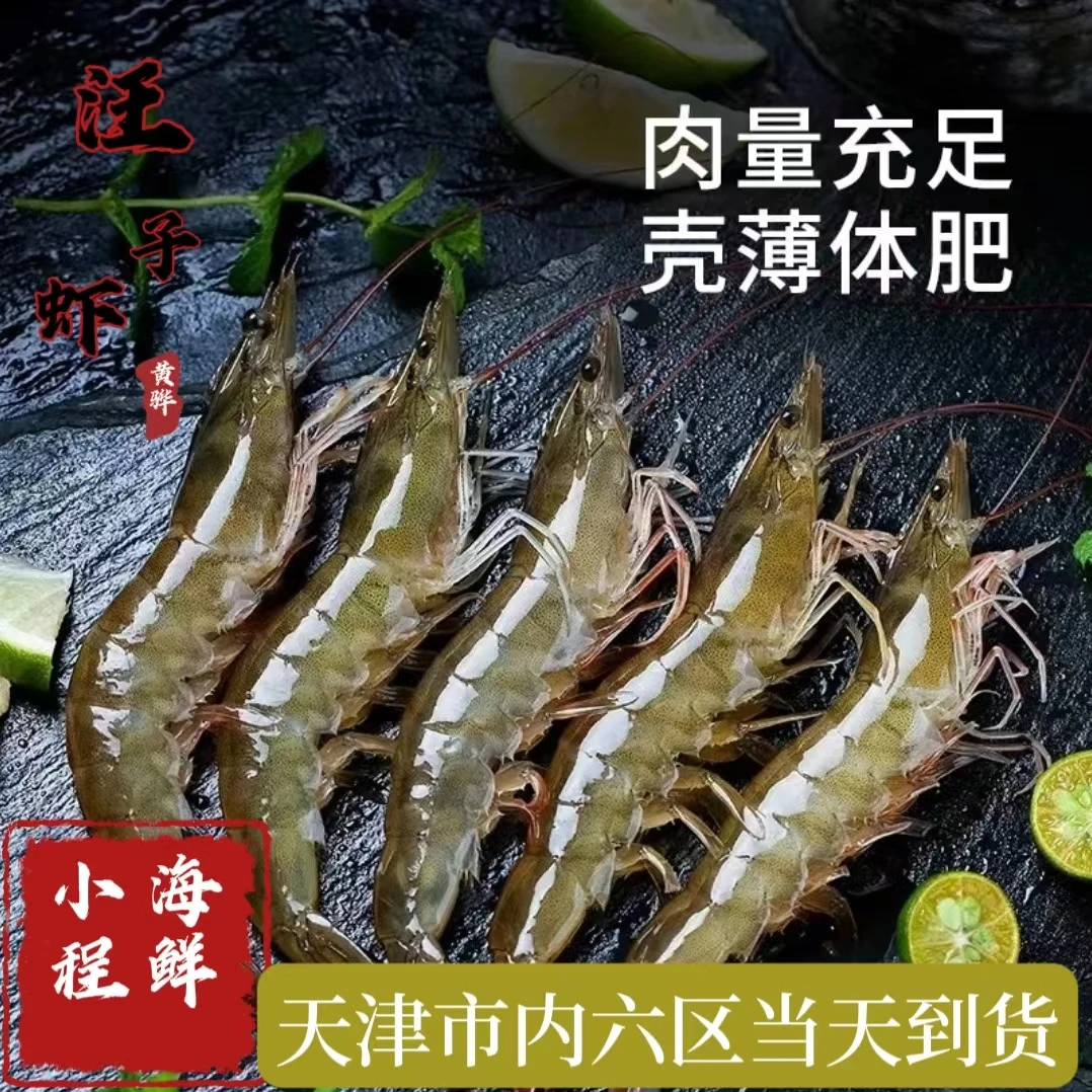 正宗黄骅盐田汪子虾20条左右
