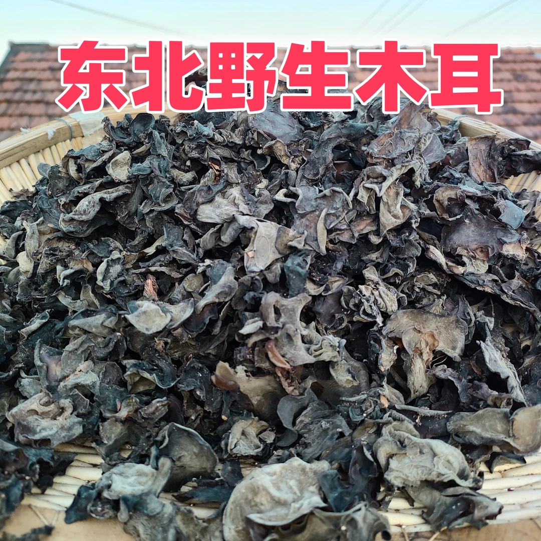 东北特产真正的野生木耳自然晾晒