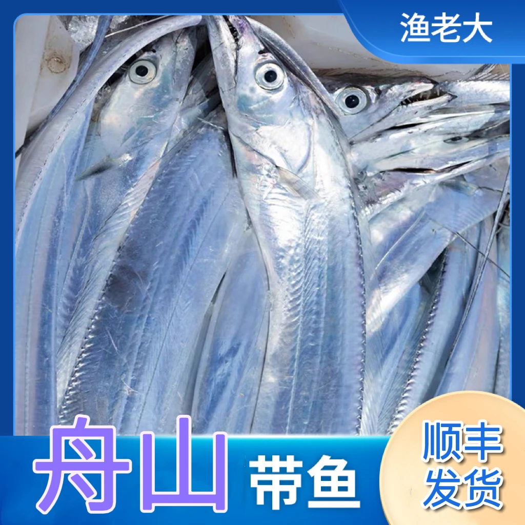 东海石浦海钓带鱼半斤