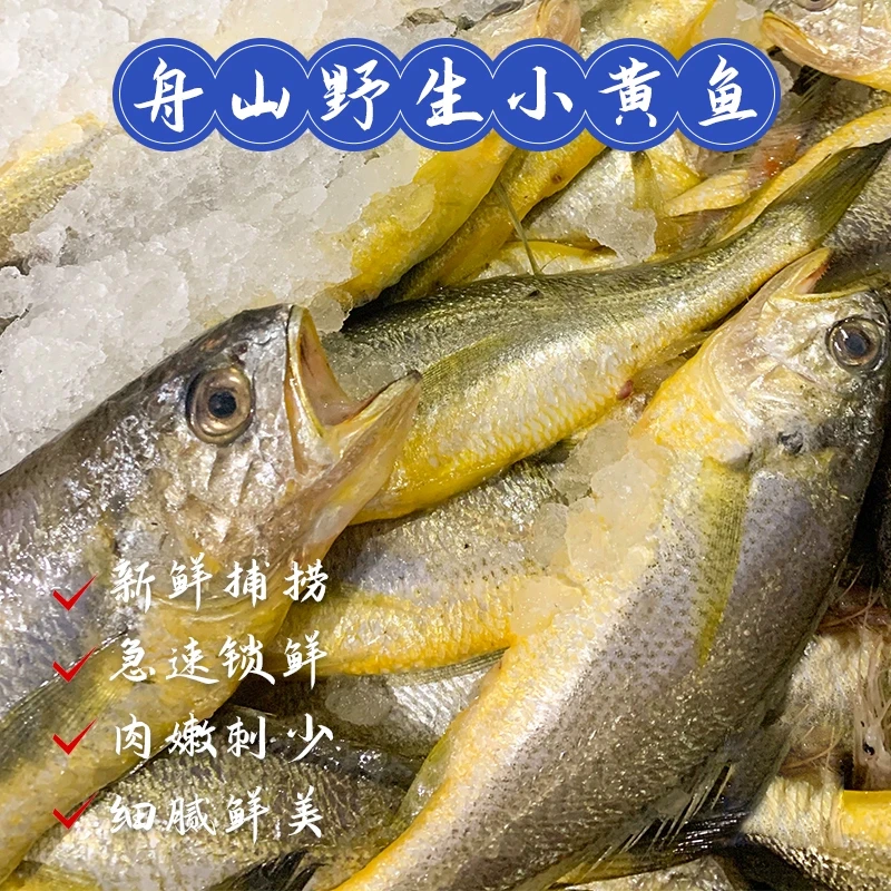 宁波石浦小海鲜 东海野生小黄鱼 蒜瓣肉口感细嫩