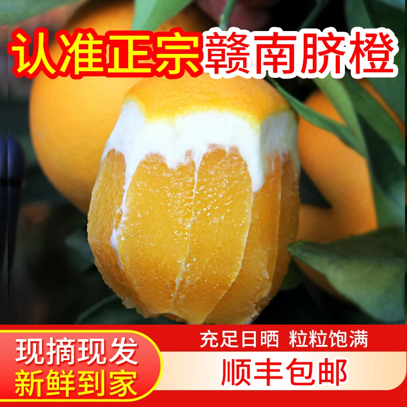 赣南脐橙【顺丰包邮】当季水果含箱5斤净重约4.5斤