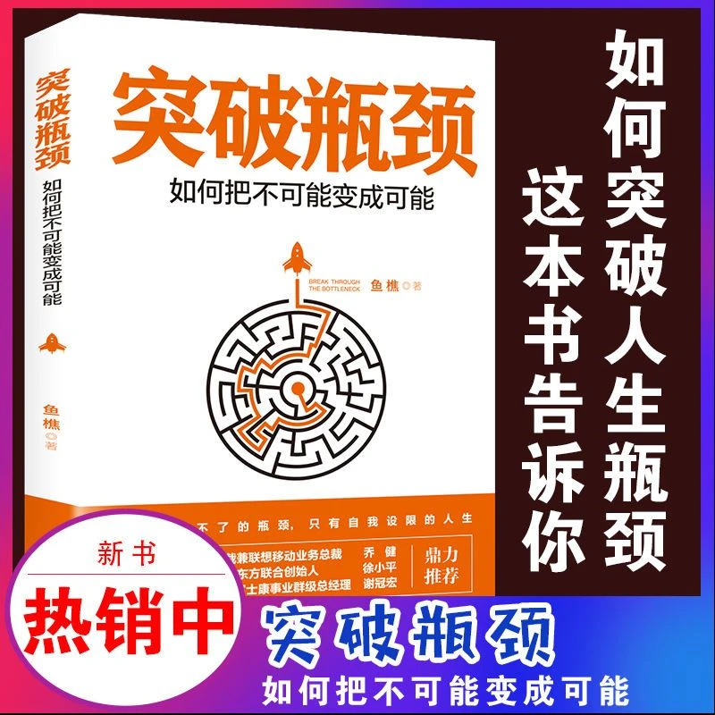 突破瓶颈 如何把不可能变成可能总结行业精英成功经验企业管理书