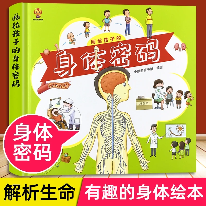 我们身体的秘密图画书儿童奇妙人体构造科普绘本幼儿园宝宝早教读