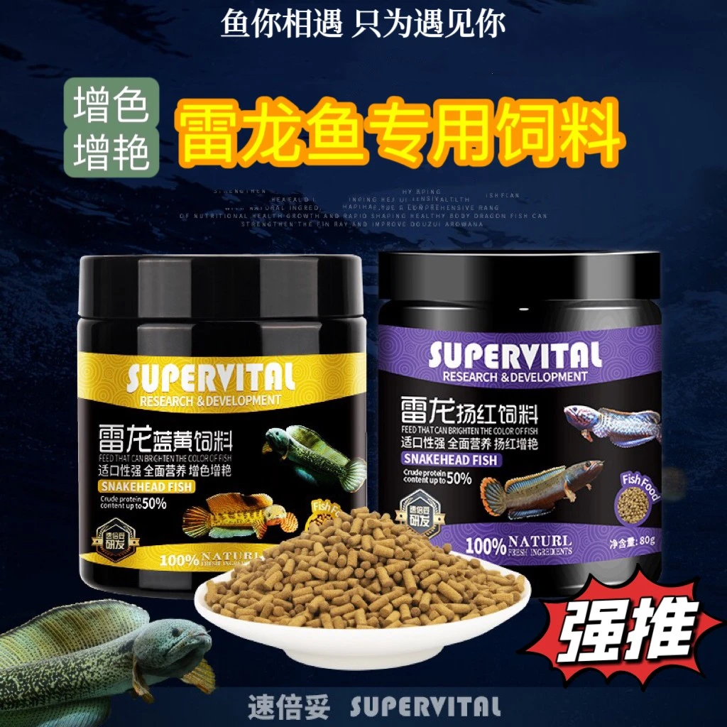 速倍妥雷龙鱼饲料阿萨姆眼镜蛇巴卡铅笔鱼七彩水产专用鱼粮小颗粒