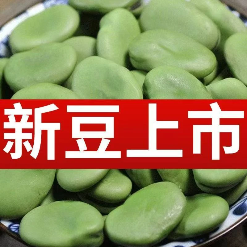 超好吃糯米蚕豆种子当季新种蚕豆种籽原装正品七仙女糯米蚕豆种籽