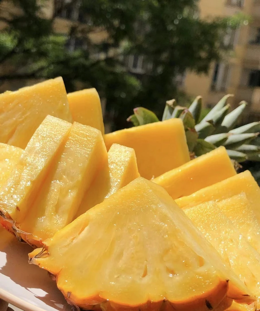 【凤梨/菠萝】海南金钻树上熟凤梨顺丰包邮