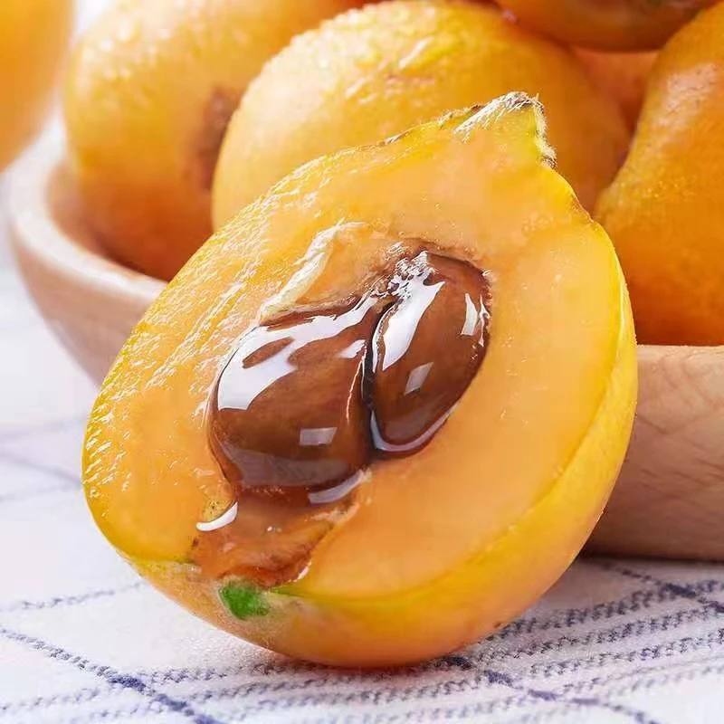 【枇杷】高山枇杷淡甜水灵新鲜水果顺丰包邮