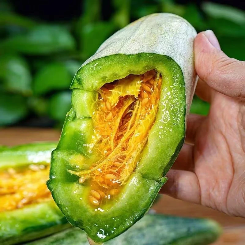 【蜜源羊角蜜】顺丰包邮羊角蜜甜瓜香瓜蜜源十八香甜脆瓜