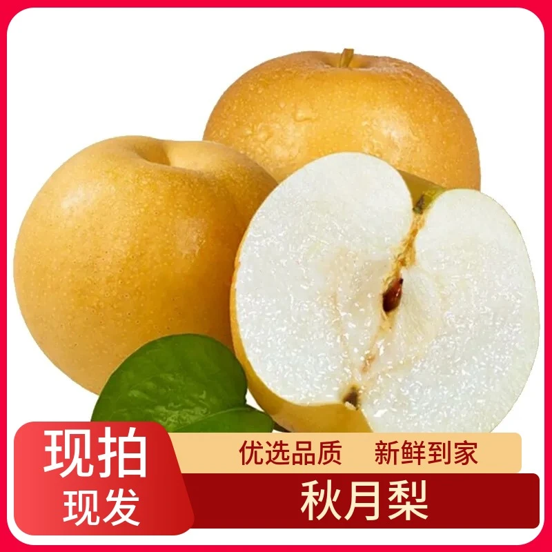【秋月梨】顺丰包邮秋月梨新鲜多汁水果应季水果