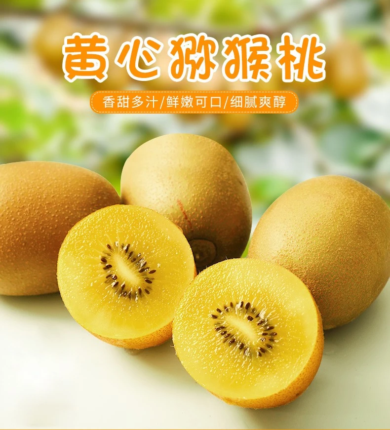 果小满-【黄心猕猴桃】阳光金果猕猴桃/奇异果新鲜水果3斤/箱