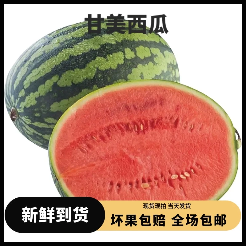 【甘美4K西瓜】江苏东台甘美4K西瓜/甜西瓜
