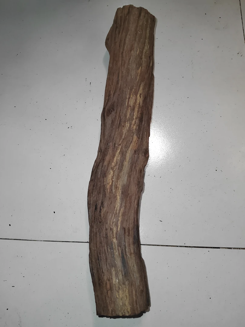 缅甸小叶降真香原木粗抛摆件料