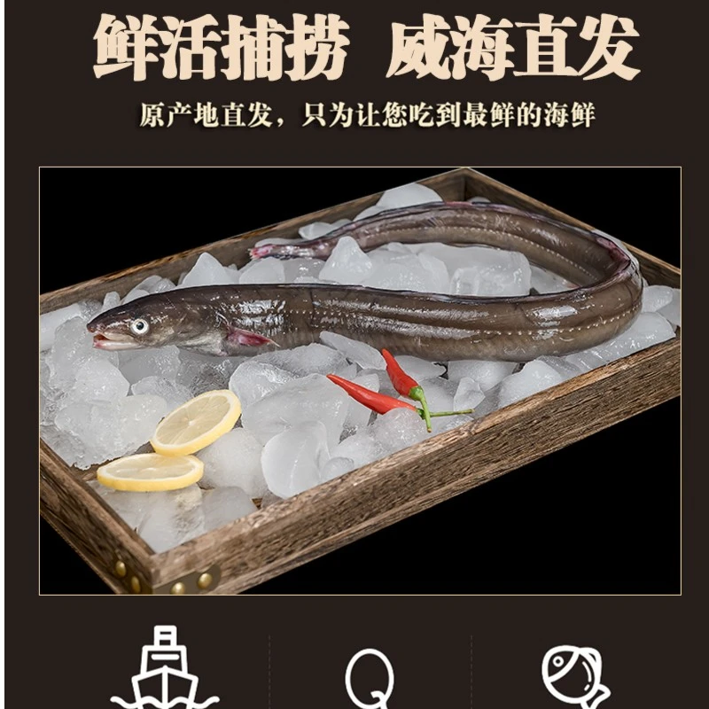 速冻野生海捕星鳗鱼去肚，威海新鲜肉质发货净重1份深海鲜嫩捕捞