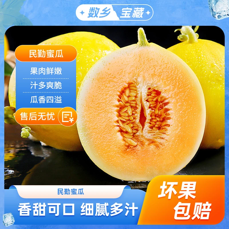 甘肃民勤蜜瓜黄金蜜瓜产地直发sss