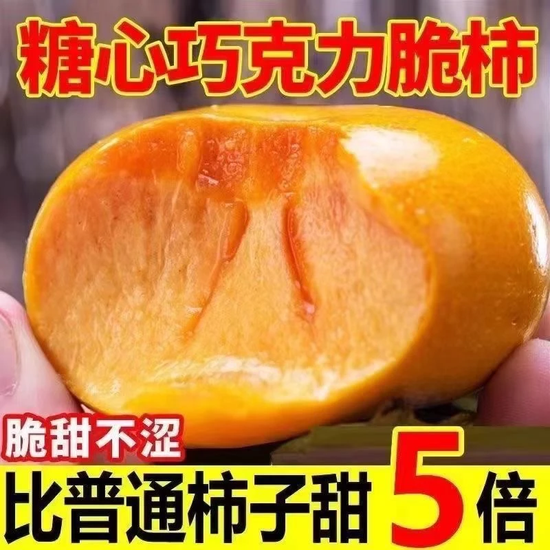 【爆甜】巧克力脆柿子新鲜水果脆柿应季脆甜柿子冰糖心硬柿子整箱