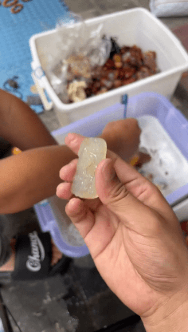 【闪购商品】石英质玉（黄龙玉）吊坠(赠链)未镶嵌福利