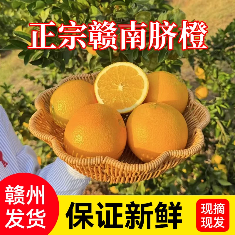【粉丝福利】正宗江西赣南脐橙新鲜橙子手剥橙香甜多汁榨汁赣州直发