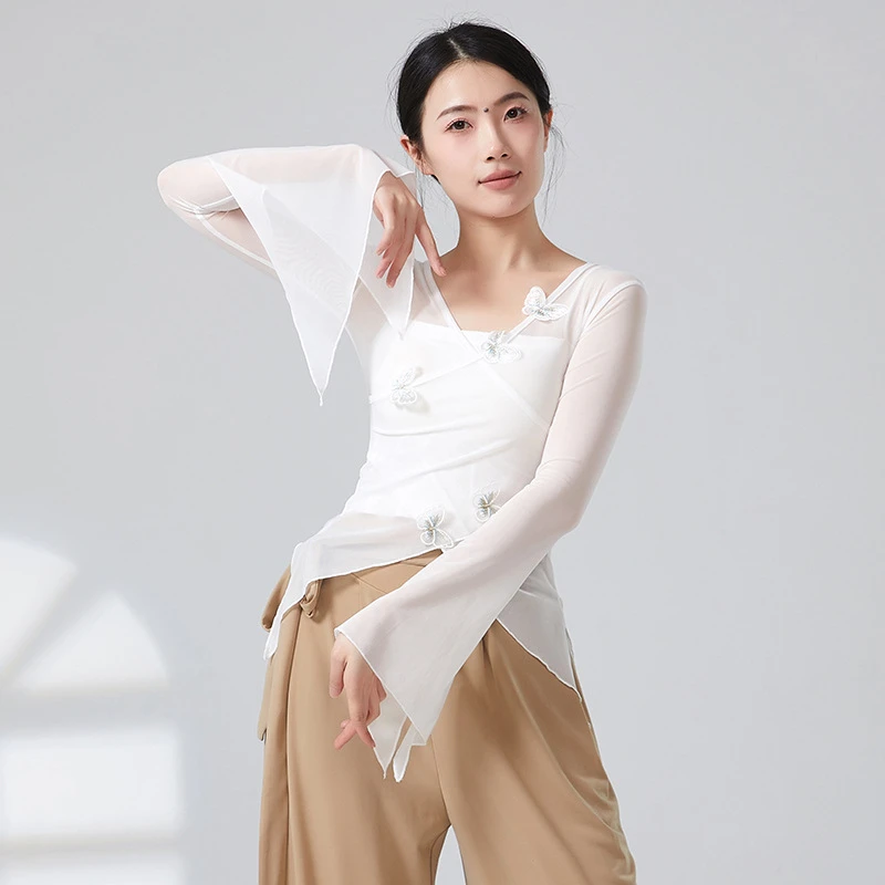 古典舞蹈服蝴蝶网纱身韵纱衣中国民族舞练功服艺考上衣仙气训练服