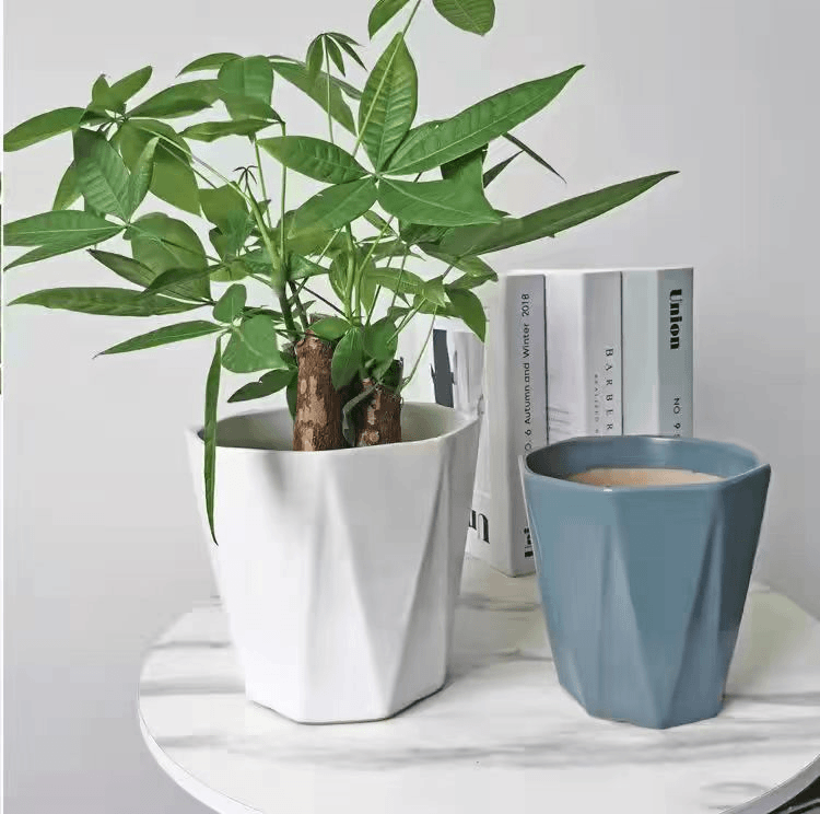 【亏米促销】陶瓷花盆大号特大号带托盘多肉花盆欧式简约白色绿萝特
