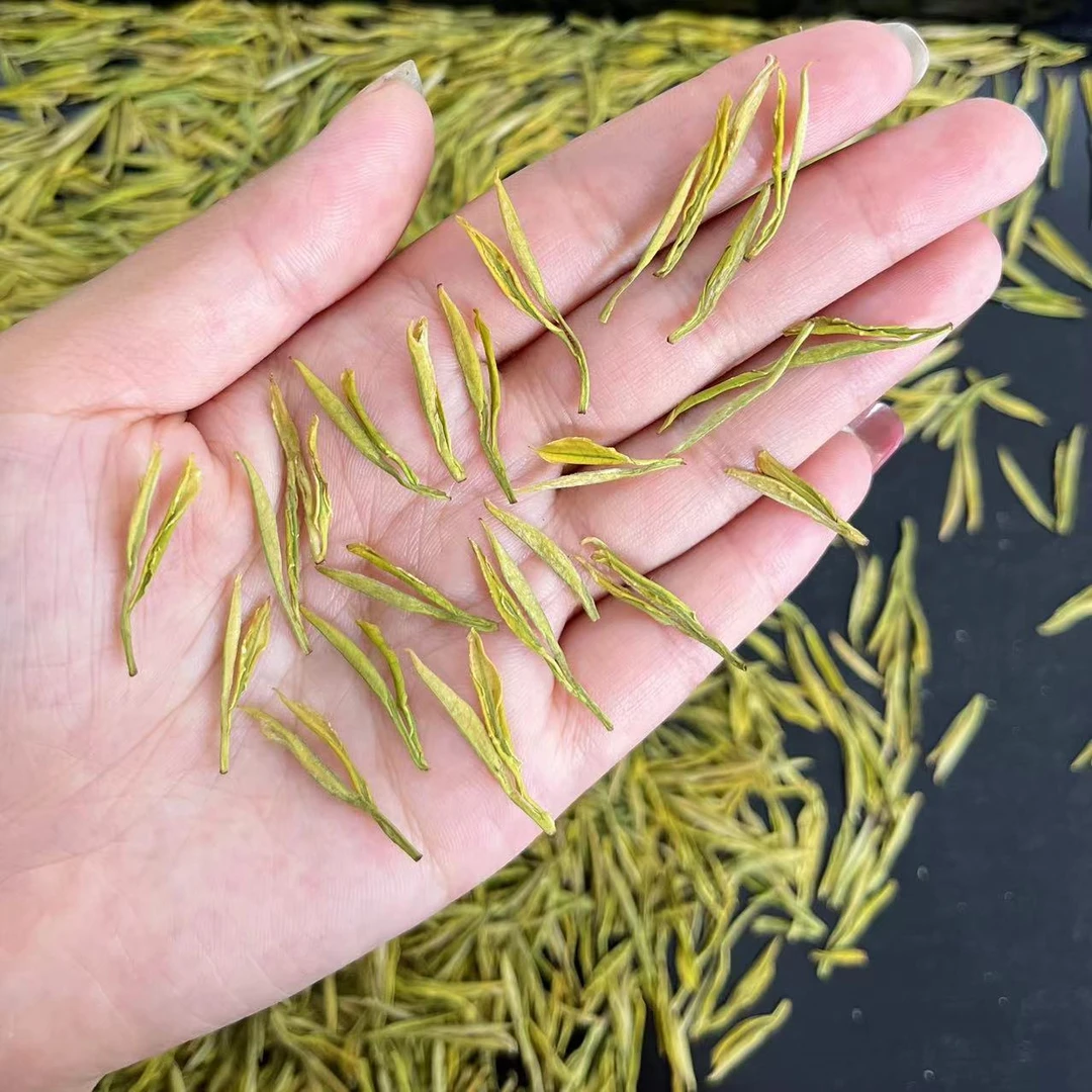 补贴款【小短芽黄金芽】明前2025高山小芽黄金芽  鲜爽回甘