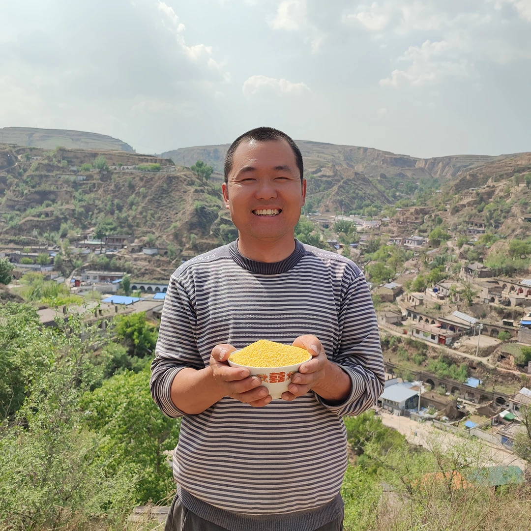 山西偏关农家自产2024新糜子米酸捞饭硬米酸粥米5斤包邮