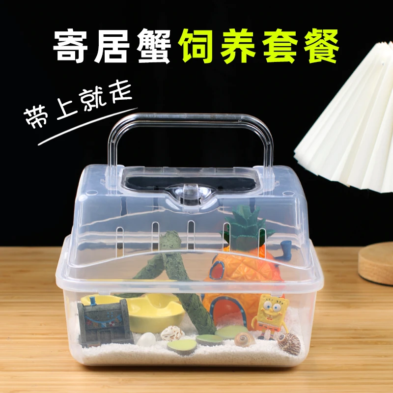 【养宠装备】寄居蟹新手饲养套餐饲养盒带造景套装海绵宝宝饲养箱