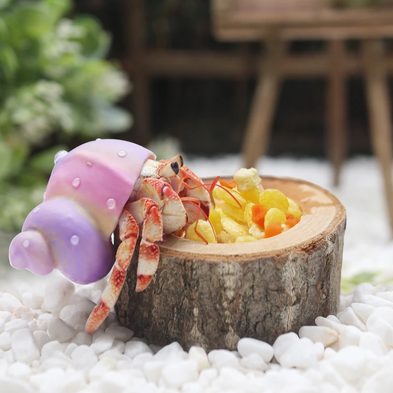 超多款寄居蟹食盆～寄居蟹食盆水盆木桩陶瓷树脂小脚丫大号小号
