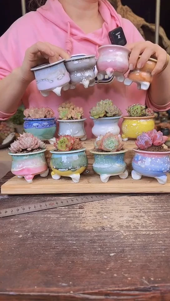 【闪购商品】彩釉大号拇指盆 12个器型颜色不指定