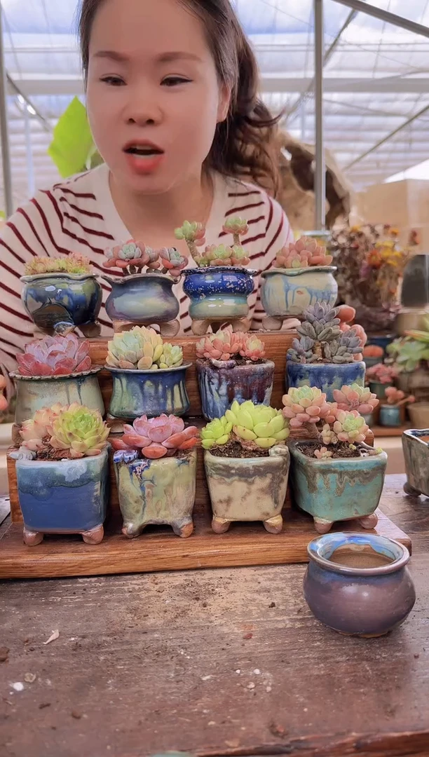 【闪购商品】方口圆口大号拇指盆各6个共 12个不指定