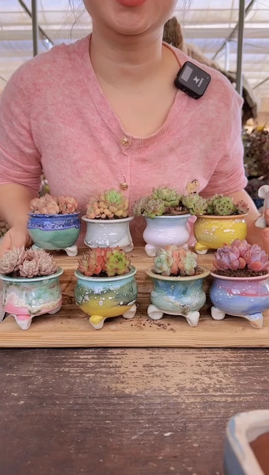 【闪购商品】天平青铜蝴蝶结一个器型备注