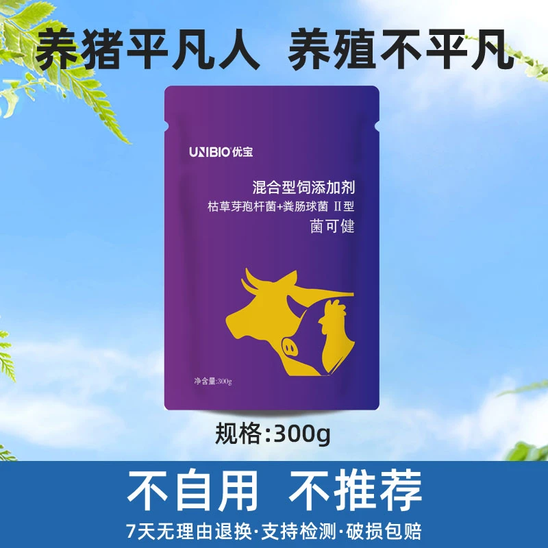 【菌可健】养殖快速增长催肥长膘必备养猪饲料添加剂(降低饲养成本)
