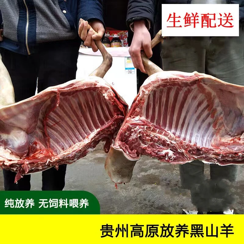 贵州本地360天吃草山羊3斤起