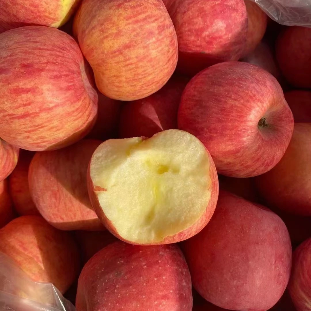 精品红富士苹果二斤