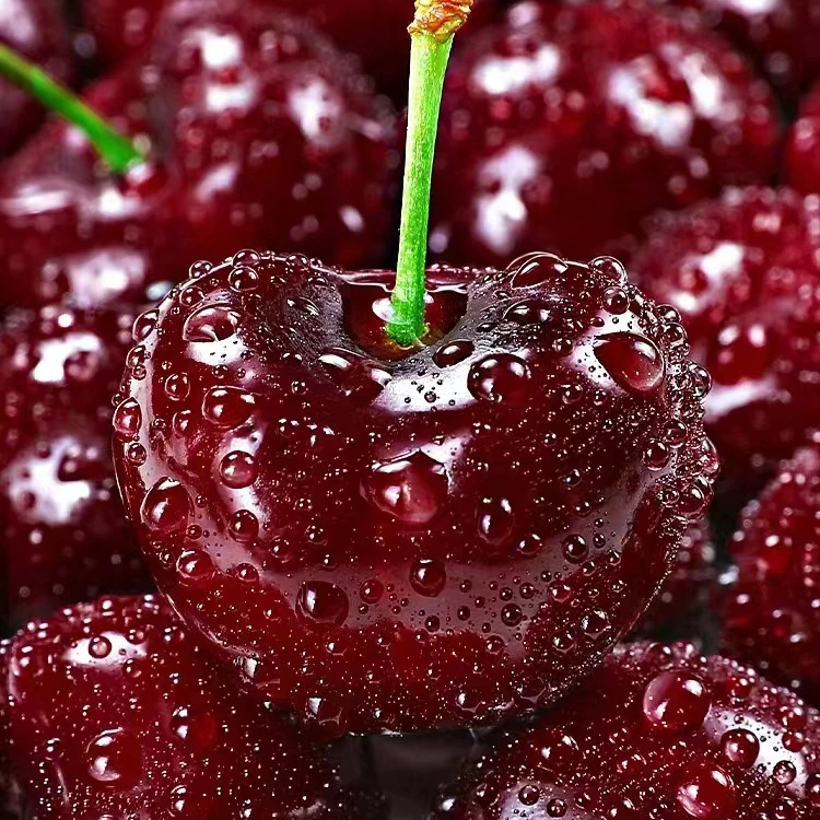 【水果大叔小时达】智利XLD车厘子三斤福利款（个别有机械伤介意勿拍）