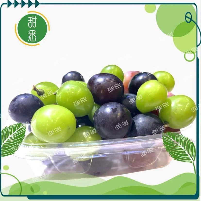 【爆款洗净】缤纷葡提200g