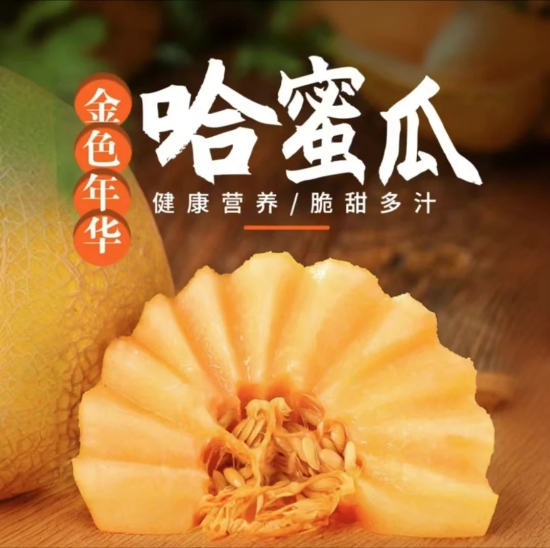 【顺丰包邮】新疆金色年华挚爱哈密瓜现摘现发包甜新疆直发售后无忧