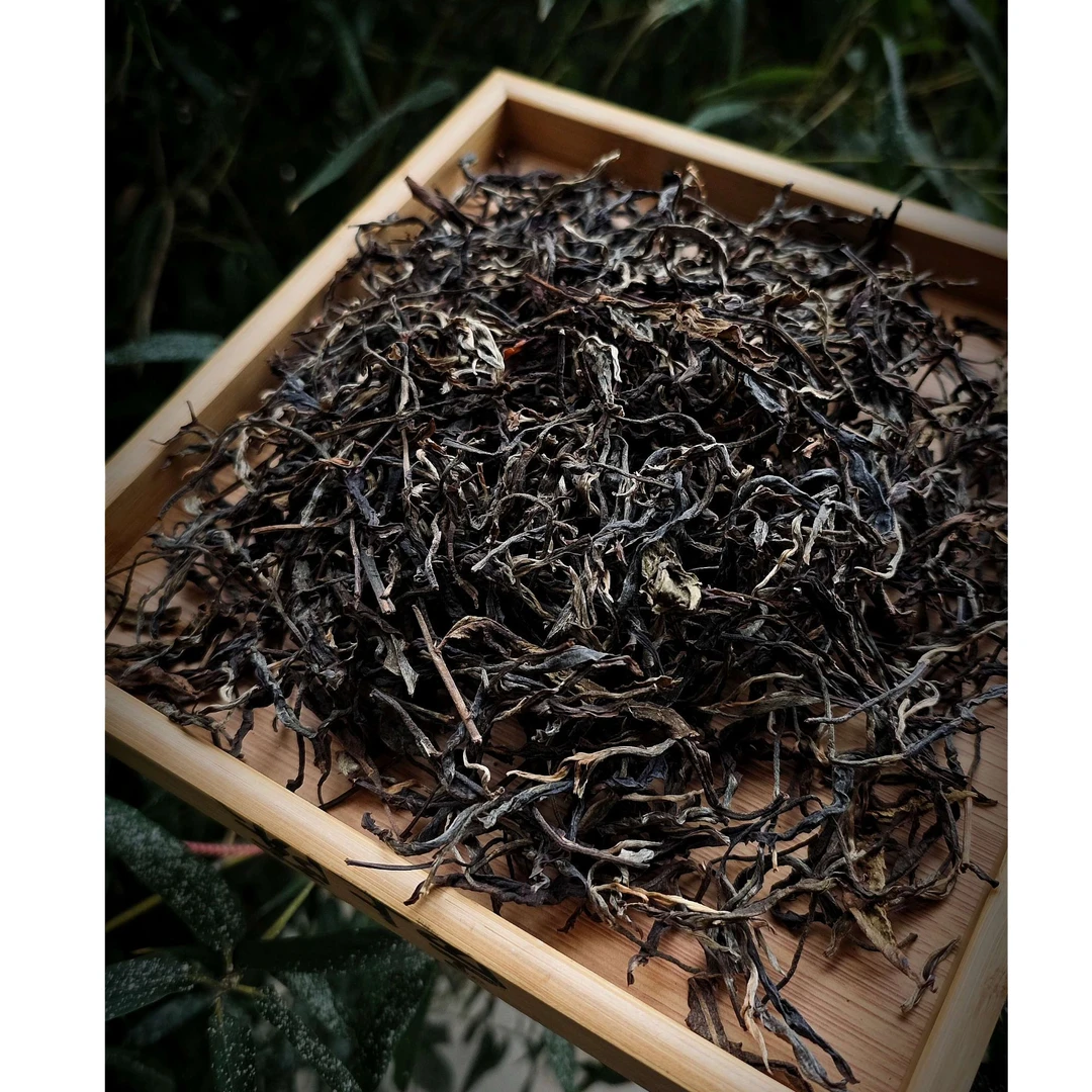 【铃兰香】天门山一类稀缺古树高杆单株-生茶散茶-头春挑采-野韵足