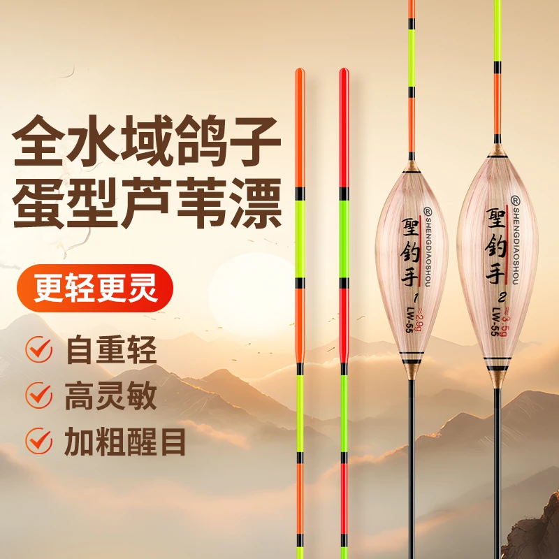 聖钓手带壳芦苇抗走水风浪60长鸽子蛋行程浮漂醒目加粗细尾