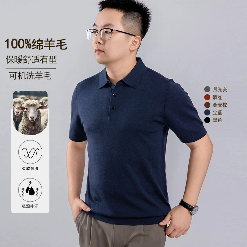 【精纺纯羊毛】澳洲美丽诺纯羊毛翻领POLO领衣服男士羊毛打底衫