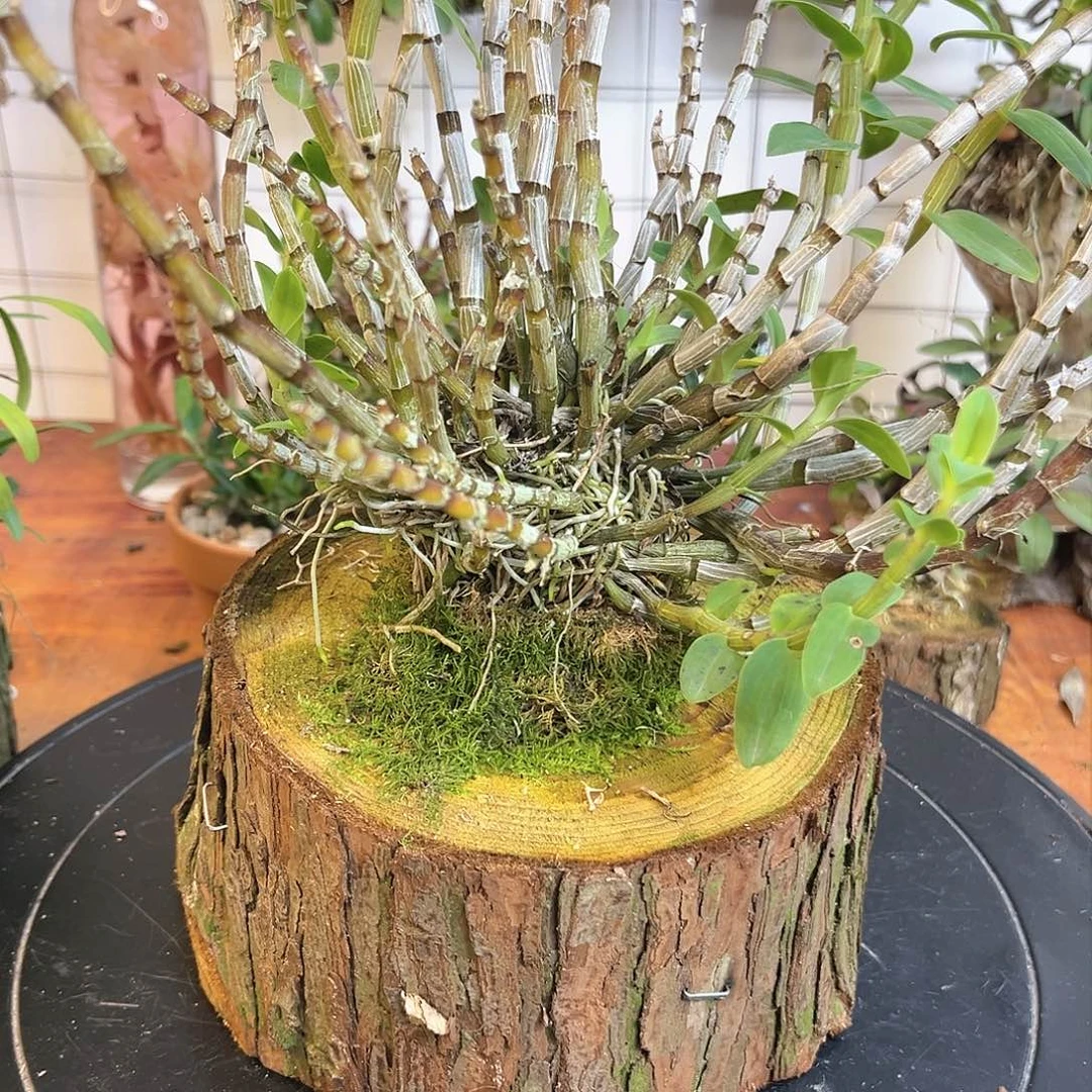 火*68.。。。。。。。。。。。