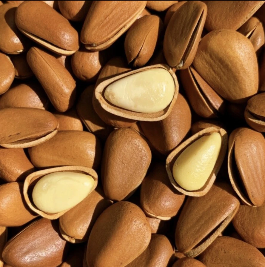 东北开口红松子(850大颗粒)现炒手剥开口松子零食坚果土特产新货